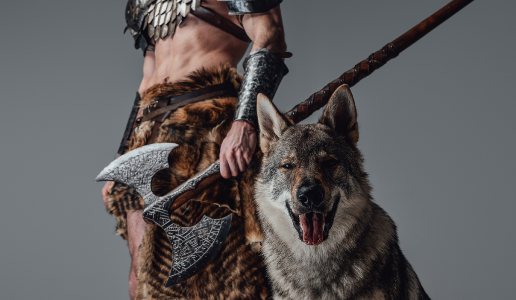 Cheerful wild wolf looking at camera in background of violent viking ee220324