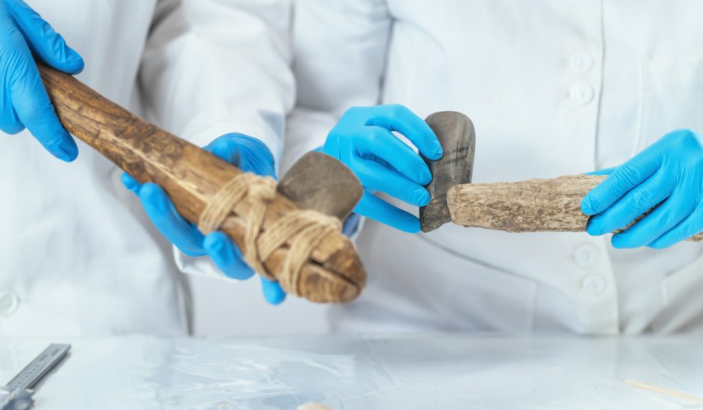 Archaeology Researcher Reconstructing Ancient Tool