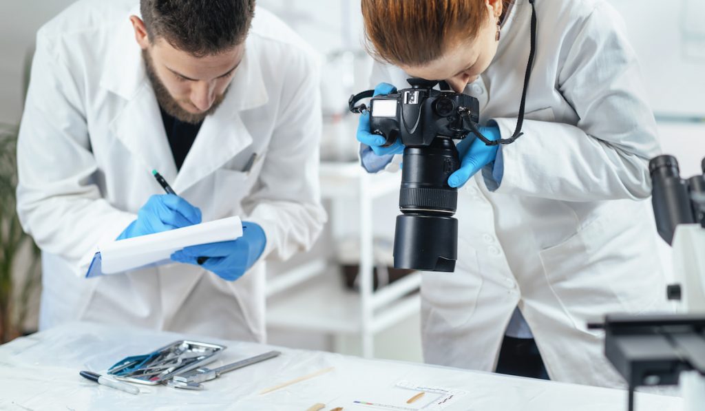 Archaeology Researchers in Laboratory, Documenting Artifacts with Camera