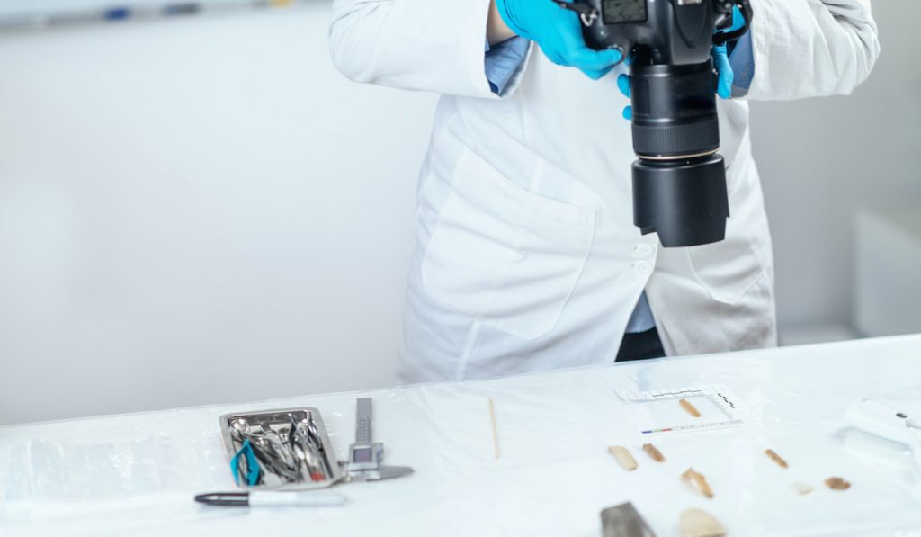 Archaeology Researchers in Laboratory, Documenting Artifacts with Camera 