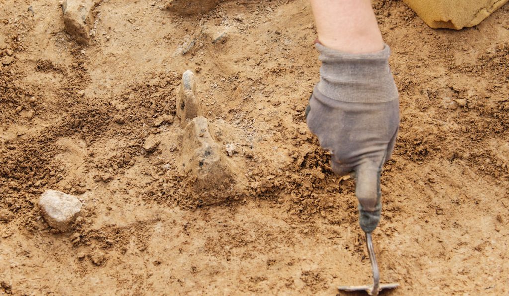 Archeological tools, Archeologist working on site, hand and tool