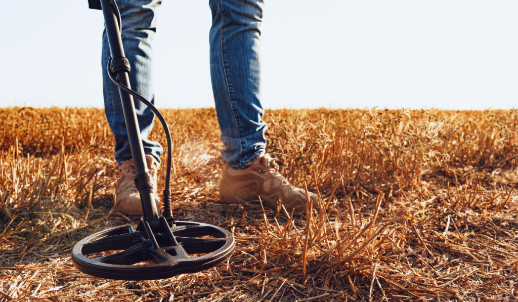 Man with metal detector equipment