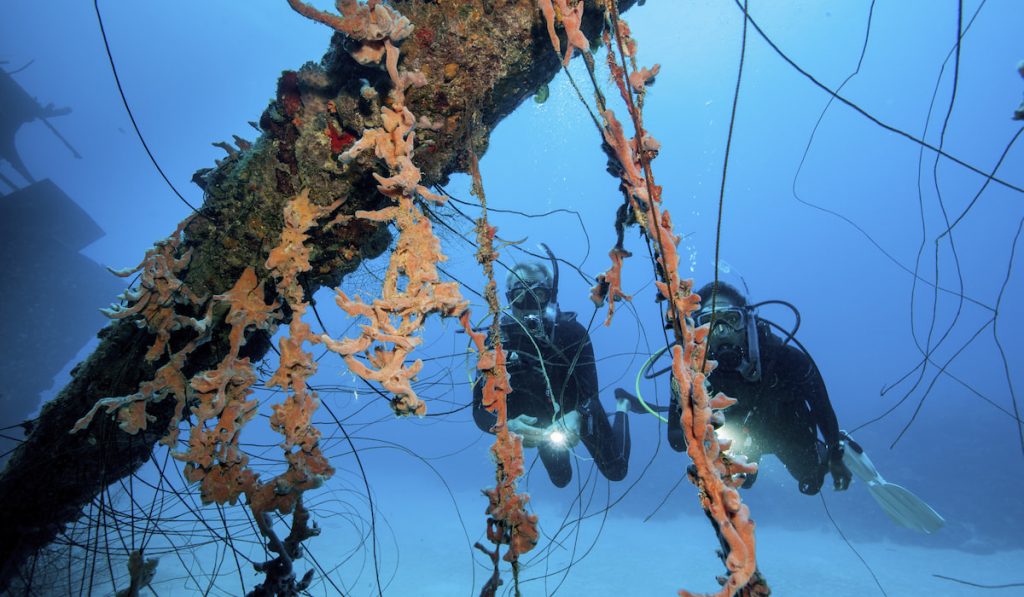 marine archaeology in the water moving around a shipwreck on the seabed doing review 