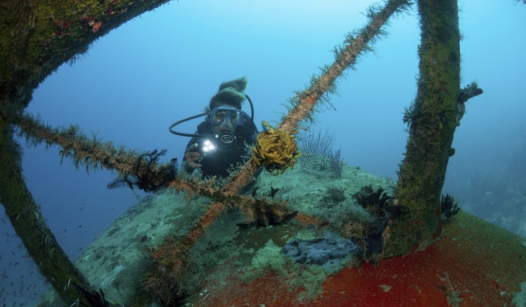 underwater archaeology investigates the wreckage of an airplane dating from World War Two on the sea