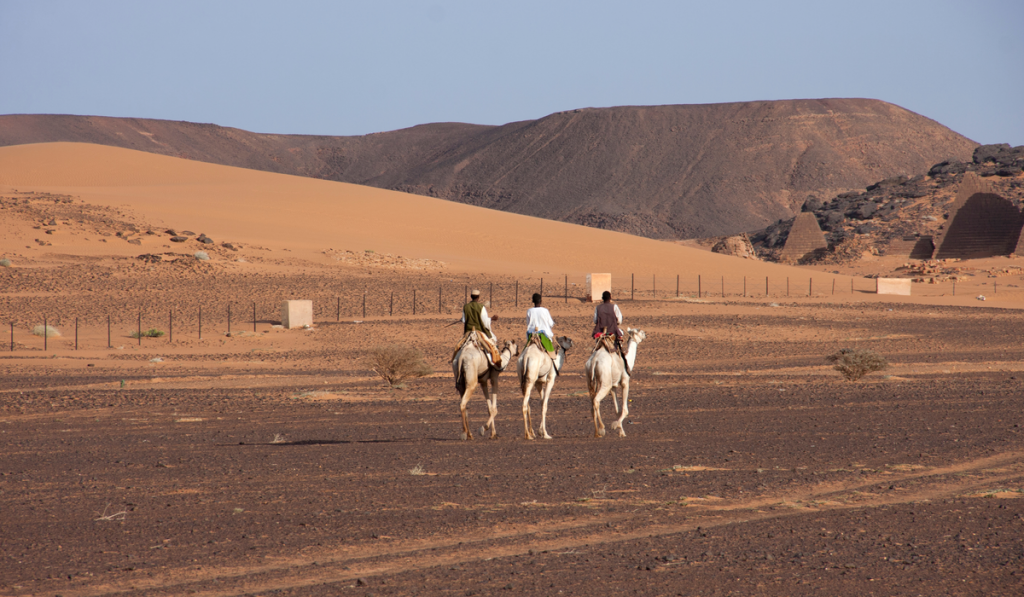meroe pyramids in area camels
