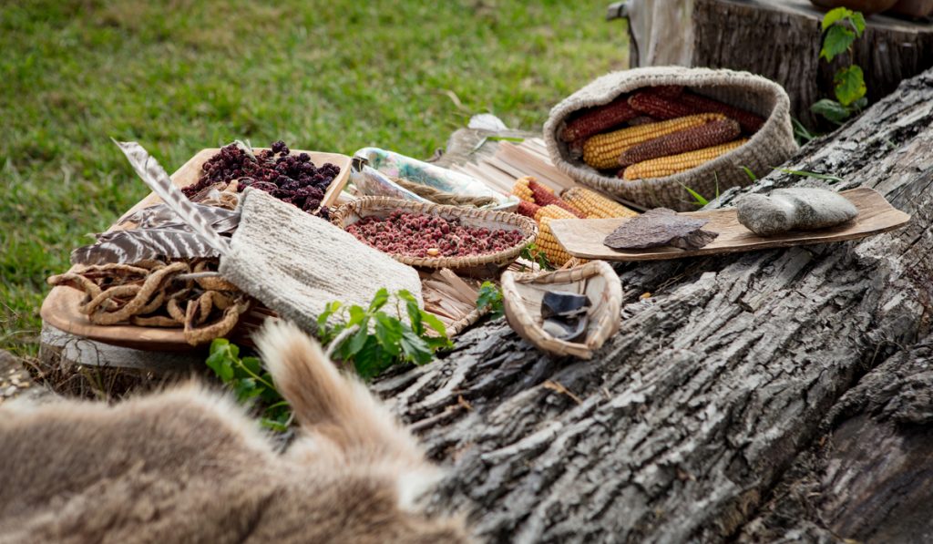 native american  harvested foods