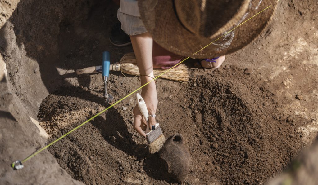 Archaeology - Archeologist Revealing Old Ceramic Object
