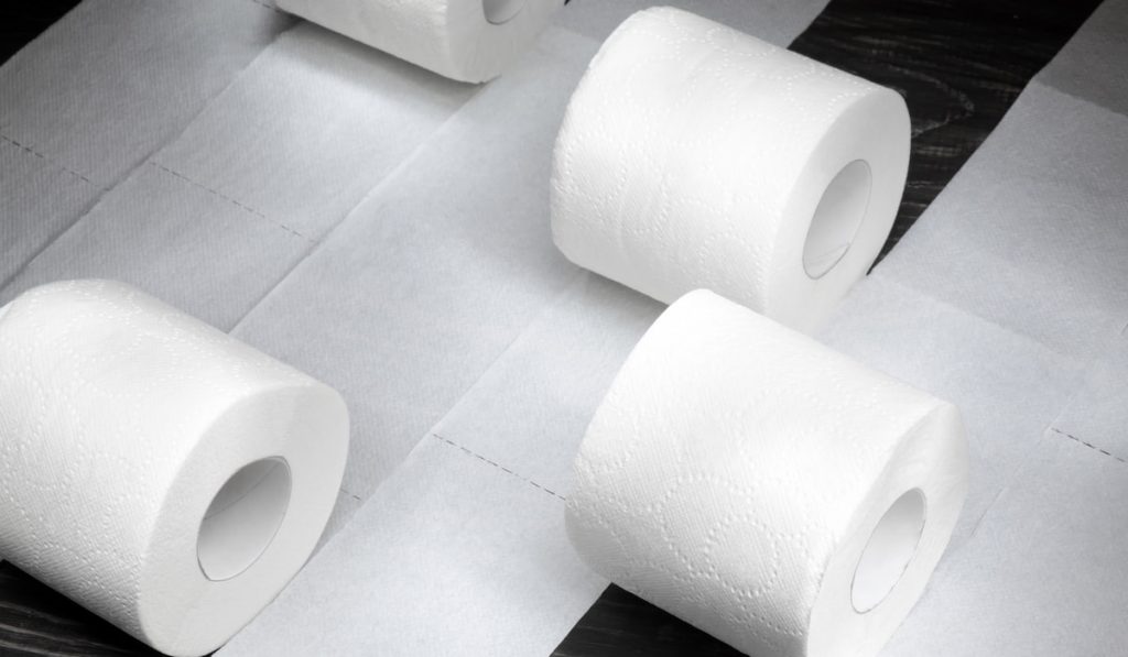 Rolls of toilet paper
