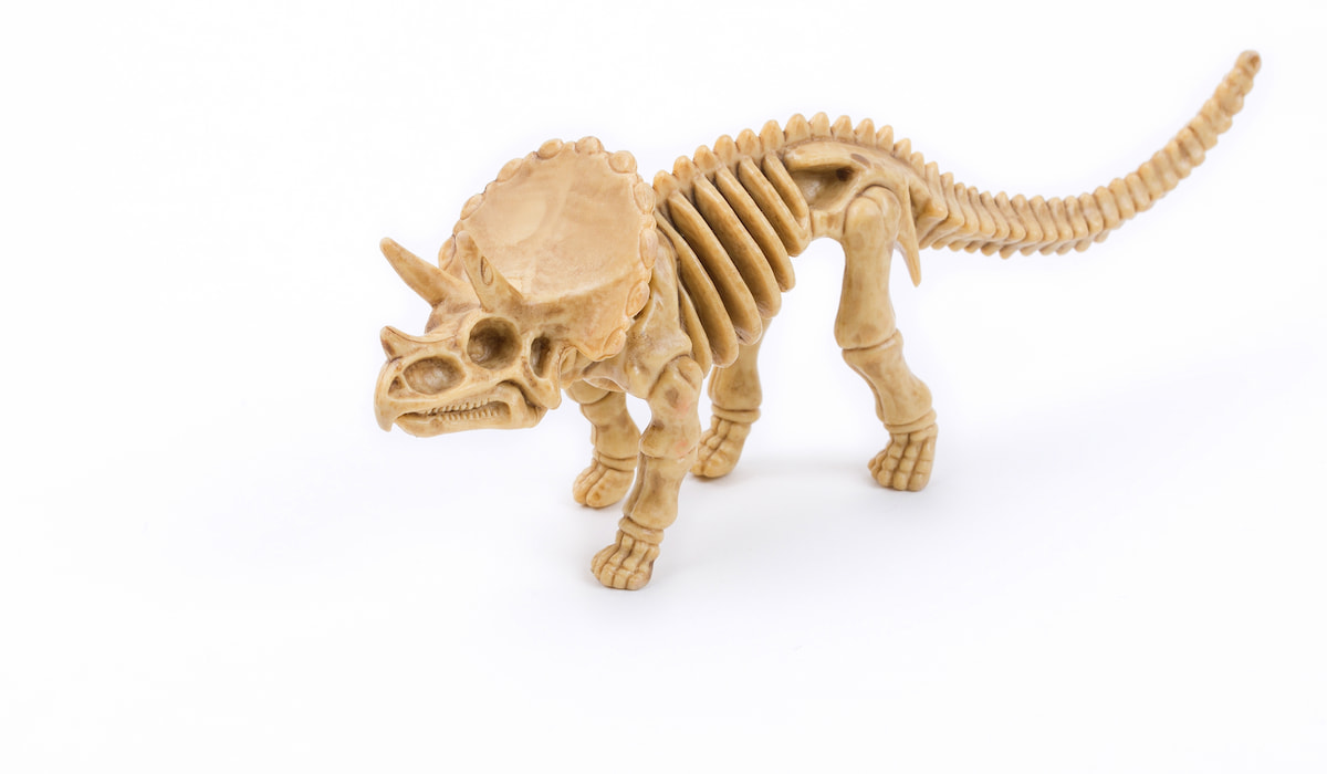 15 Fun Paleontology Jobs The Archaeological Box