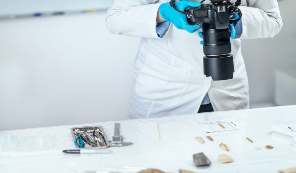 Archaeology Researchers in Laboratory, Documenting Artifacts with Camera
