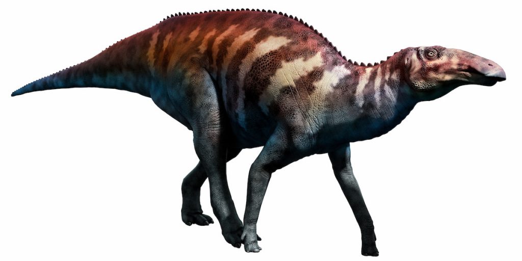 Edmontosaurus 3D illustration on white background